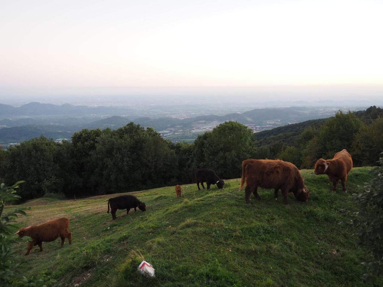 Agriturismo Croda Bianca Cavaso Del Tomba Eksteriør billede